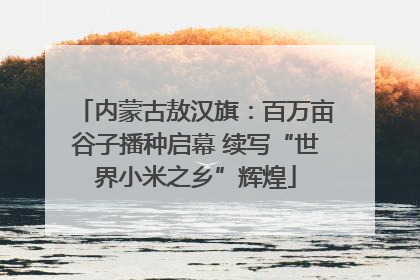 内蒙古敖汉旗：百万亩谷子播种启幕 续写“世界小米之乡”辉煌