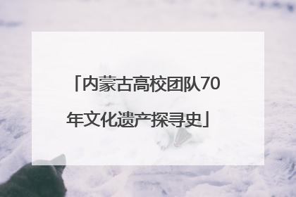 内蒙古高校团队70年文化遗产探寻史