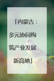 内蒙古：多元协同构筑产业发展新高地