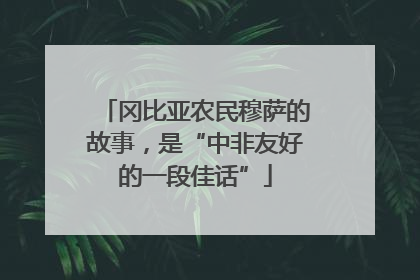 冈比亚农民穆萨的故事，是“中非友好的一段佳话”