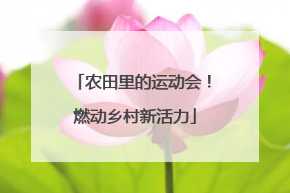农田里的运动会！燃动乡村新活力