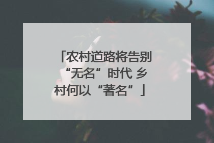 农村道路将告别“无名”时代 乡村何以“著名”