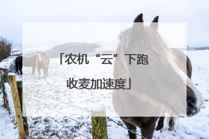 农机“云”下跑 收麦加速度