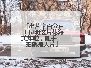 出片率百分百！昆明这片花海美炸啦，随手一拍就是大片