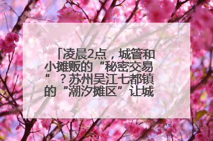 凌晨2点，城管和小摊贩的“秘密交易”？苏州吴江七都镇的“潮汐摊区”让城市管理有了人情味