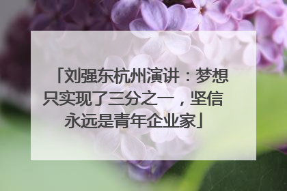 刘强东杭州演讲：梦想只实现了三分之一，坚信永远是青年企业家