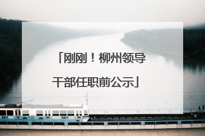 刚刚！柳州领导干部任职前公示
