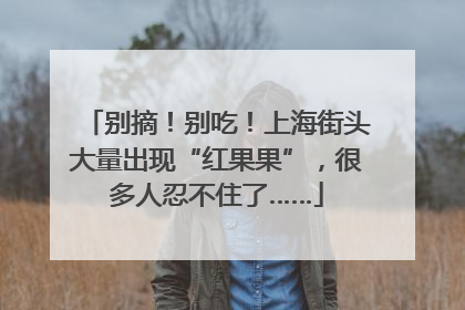 别摘！别吃！上海街头大量出现“红果果”，很多人忍不住了……