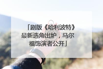 剧版《哈利波特》最新选角出炉，马尔福饰演者公开