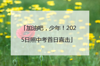 加油吧，少年！2025日照中考首日直击