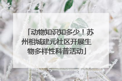 动物知识知多少！苏州相城建元社区开展生物多样性科普活动