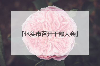 包头市召开干部大会