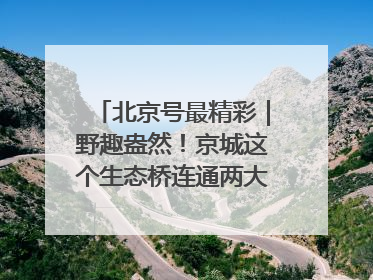 北京号最精彩｜野趣盎然！京城这个生态桥连通两大网红公园