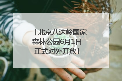 北京八达岭国家森林公园6月1日正式对外开放