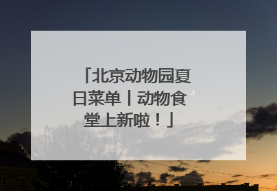 北京动物园夏日菜单丨动物食堂上新啦！