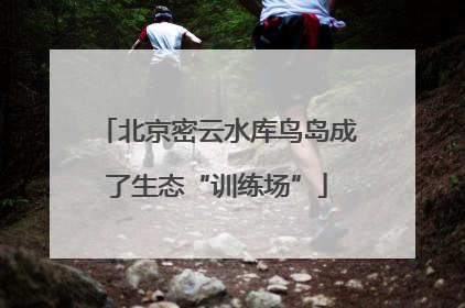 北京密云水库鸟岛成了生态“训练场”