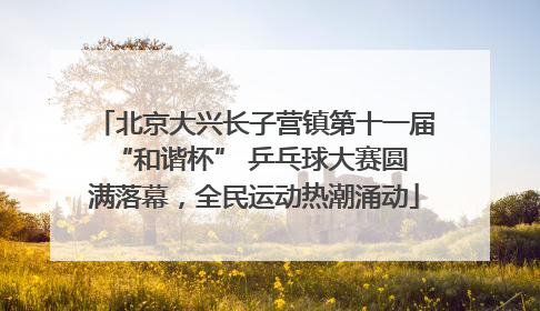 北京大兴长子营镇第十一届 “和谐杯” 乒乓球大赛圆满落幕，全民运动热潮涌动