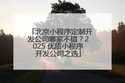 北京小程序定制开发公司哪家不错？2025 优质小程序开发公司之选