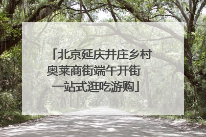 北京延庆井庄乡村奥莱商街端午开街 一站式逛吃游购