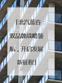 北汽蓝谷：双品牌战略领航，开启发展新征程