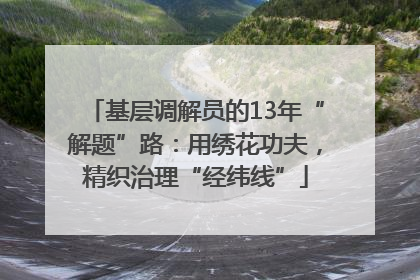 基层调解员的13年“解题”路：用绣花功夫，精织治理“经纬线”