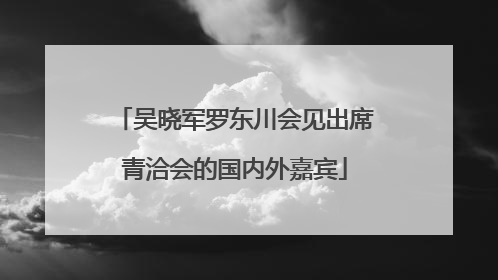 吴晓军罗东川会见出席青洽会的国内外嘉宾