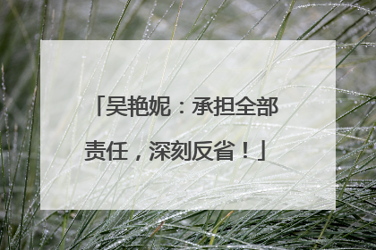 吴艳妮：承担全部责任，深刻反省！