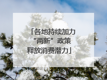 各地持续加力“两新”政策 释放消费潜力