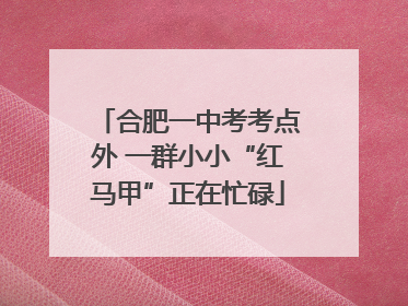 合肥一中考考点外 一群小小“红马甲”正在忙碌