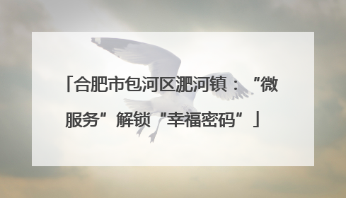 合肥市包河区淝河镇：“微服务”解锁“幸福密码”