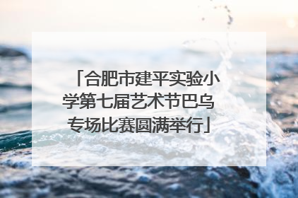 合肥市建平实验小学第七届艺术节巴乌专场比赛圆满举行