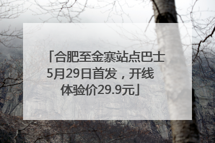 合肥至金寨站点巴士5月29日首发，开线体验价29.9元