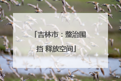 吉林市：整治围挡 释放空间