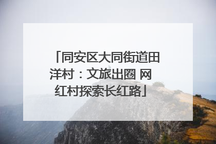 同安区大同街道田洋村：文旅出圈 网红村探索长红路
