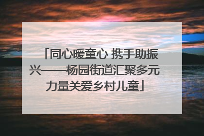 同心暖童心 携手助振兴——杨园街道汇聚多元力量关爱乡村儿童