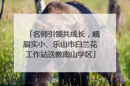 名师引领共成长，峨眉实小、乐山市白兰花工作站送教南山学区