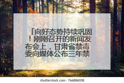 向好态势持续巩固！刚刚召开的新闻发布会上，甘肃省禁毒委向媒体公布三年禁毒工作“成绩单”