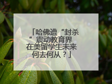 哈佛遭“封杀”震动教育界 在美留学生未来何去何从？