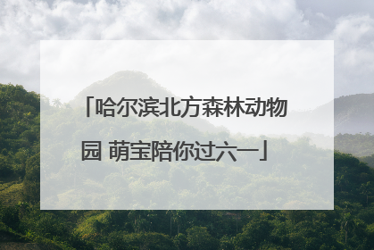 哈尔滨北方森林动物园 萌宝陪你过六一