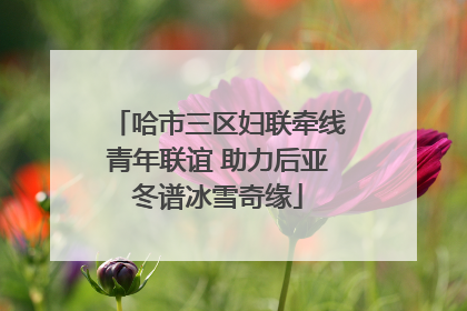 哈市三区妇联牵线青年联谊 助力后亚冬谱冰雪奇缘