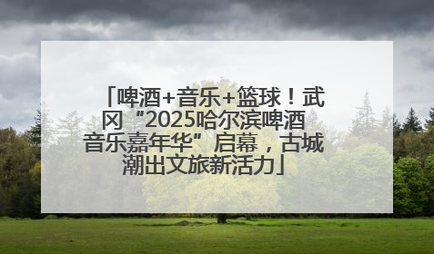 啤酒+音乐+篮球！武冈“2025哈尔滨啤酒音乐嘉年华”启幕，古城潮出文旅新活力