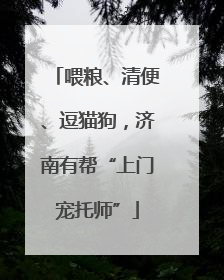 喂粮、清便、逗猫狗，济南有帮“上门宠托师”