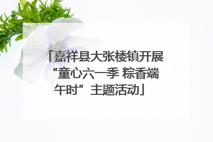 嘉祥县大张楼镇开展“童心六一季 粽香端午时”主题活动