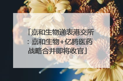 嘉和生物递表港交所：嘉和生物+亿腾医药战略合并即将收官