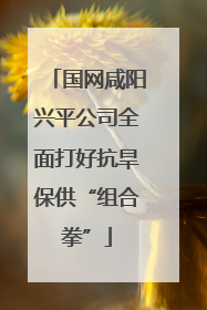 国网咸阳兴平公司全面打好抗旱保供“组合拳”