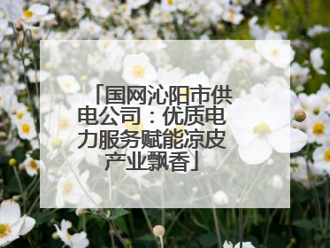 国网沁阳市供电公司：优质电力服务赋能凉皮产业飘香