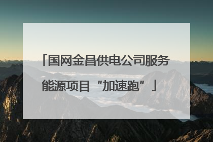 国网金昌供电公司服务能源项目“加速跑”