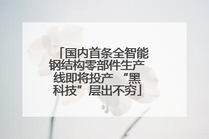 国内首条全智能钢结构零部件生产线即将投产 “黑科技”层出不穷