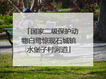 国家二级保护动物白鹭惊现石城镇水堡子村河道