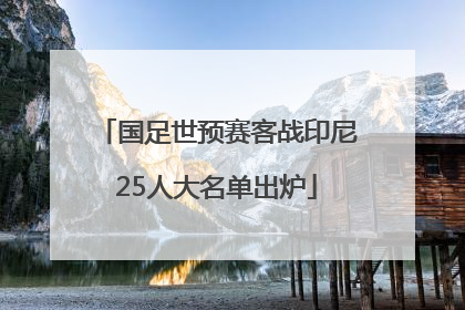 国足世预赛客战印尼25人大名单出炉